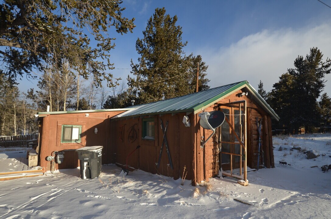 398 Beaver Creek Rd in Fairplay, CO - Building Photo