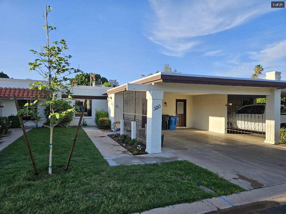 920 W Solcito Ln in Phoenix, AZ - Building Photo