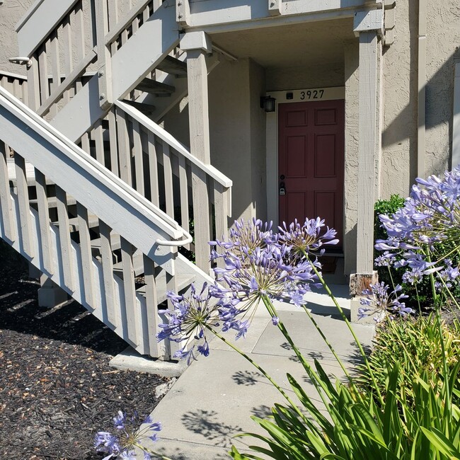 3927 Crow Canyon Rd in San Ramon, CA - Building Photo - Building Photo