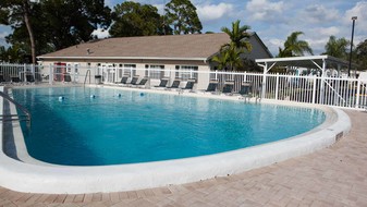 Arbor Terrace RV Resort in Bradenton, FL - Foto de edificio - Building Photo