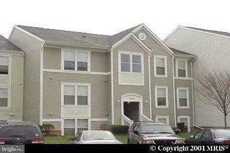 20602 Cornstalk Terrace in Ashburn, VA - Building Photo - Building Photo