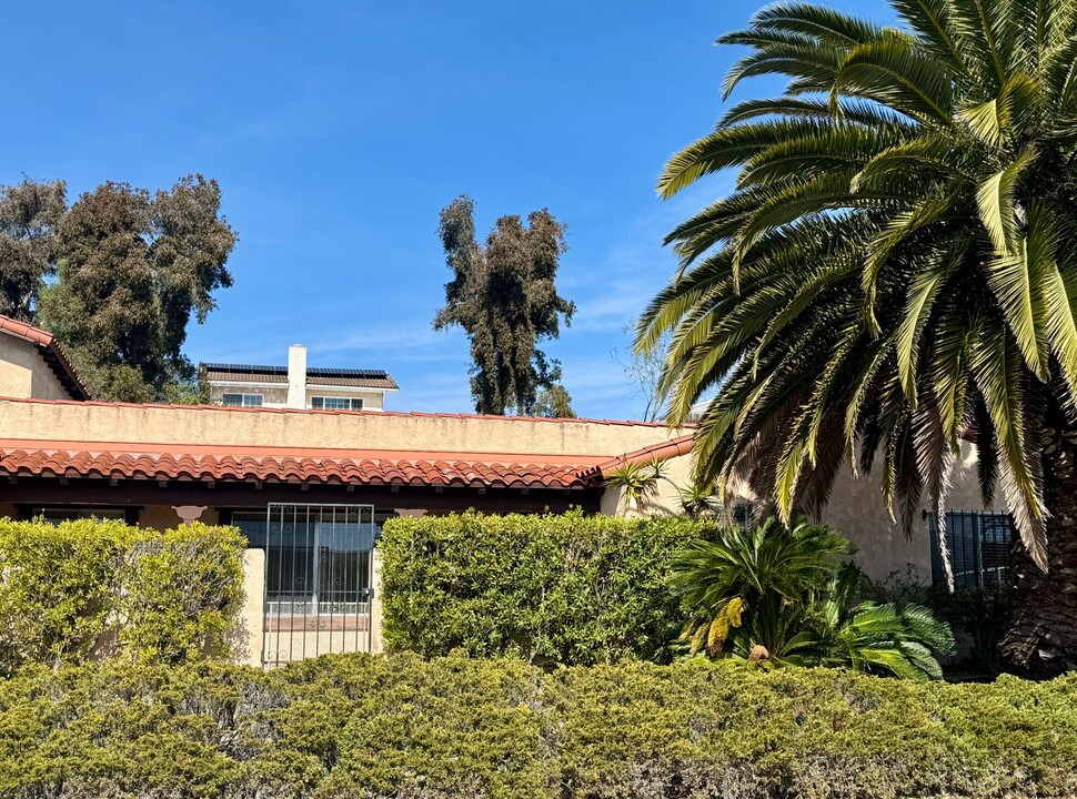 1336 Orlando St in San Marcos, CA - Foto de edificio