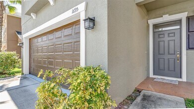 1695 Ludington Ave in Wesley Chapel, FL - Building Photo - Building Photo