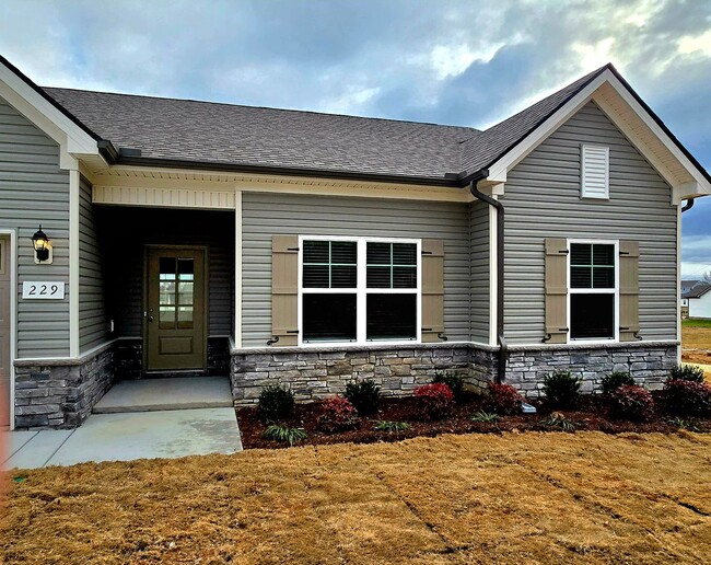 229 Republic St in Shelbyville, TN - Building Photo - Building Photo