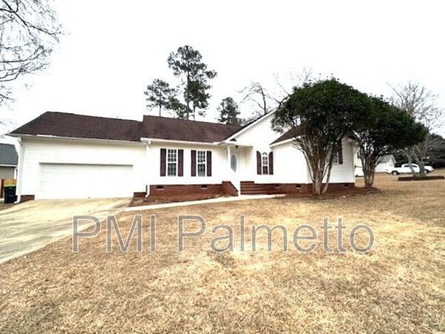 149 Kerry Gibbons Dr in Chapin, SC - Building Photo - Building Photo