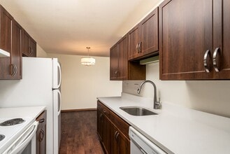 5220 Interlachen Blvd in Edina, MN - Foto de edificio - Interior Photo