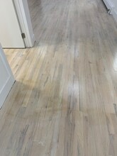 768 Saratoga Ave in Brooklyn, NY - Foto de edificio - Building Photo