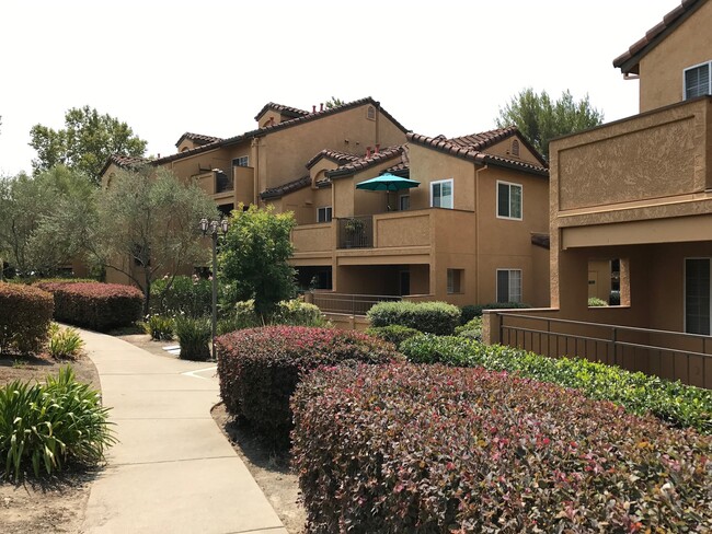 470 Bollinger Canyon Ln, Unit Apt 279 in San Ramon, CA - Building Photo - Building Photo