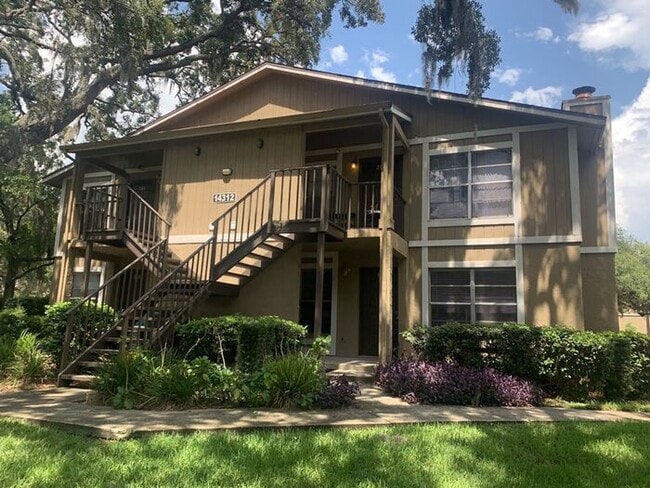 14312 Hanging Moss Cir in Tampa, FL - Building Photo - Building Photo