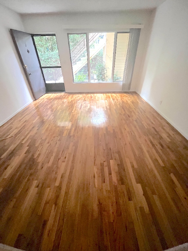 807 3rd St, Unit D in Santa Monica, CA - Building Photo - Building Photo