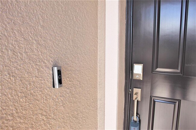 9077 Shadyside Ln in Land O Lakes, FL - Building Photo - Building Photo