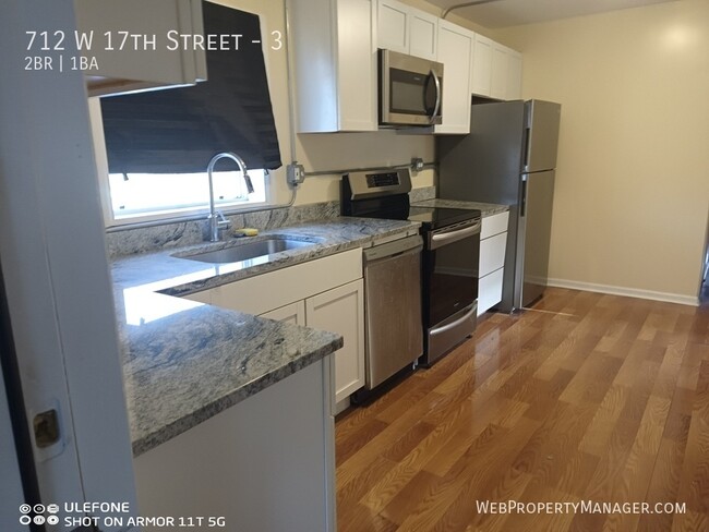 712 W 17th St in Chicago, IL - Building Photo - Building Photo