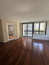 222 E Pearson St in Chicago, IL - Building Photo - Building Photo