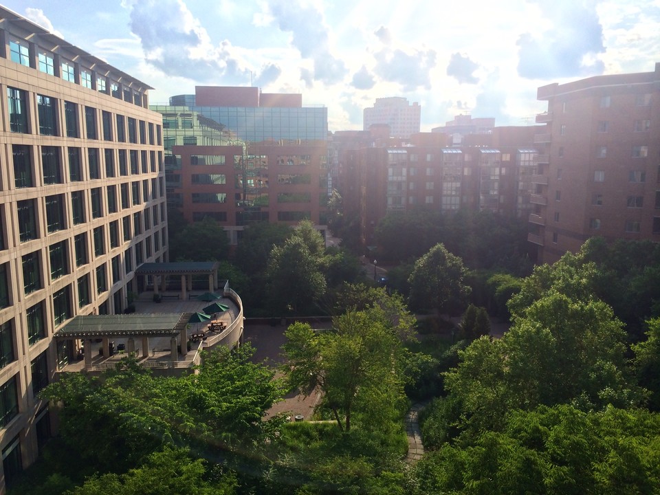 1029 N Stuart St in Arlington, VA - Building Photo