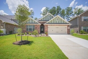 17112 Coneflower Pl in Shenandoah, TX - Building Photo