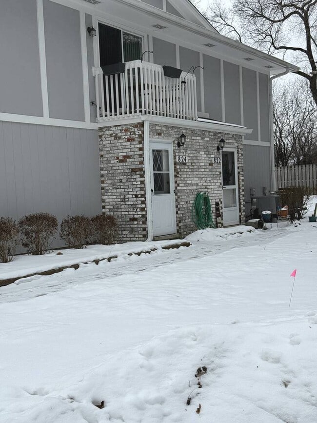 824 Dighton Ln in Schaumburg, IL - Building Photo - Building Photo