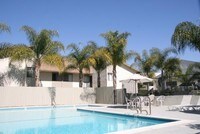 Pool - Lincoln-Moody Apartments in Los Angeles, California