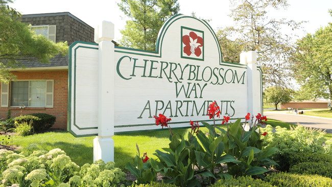 Cherryblossom Way photo'