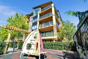 Yorkson Grove Apartments in Langley, BC - Building Photo - Building Photo