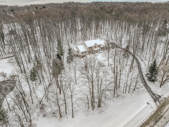 8600 Tamarack Trail in Chagrin Falls, OH - Building Photo - Building Photo