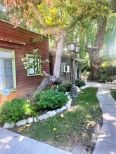 115 E 4th St in Ontario, CA - Building Photo - Building Photo