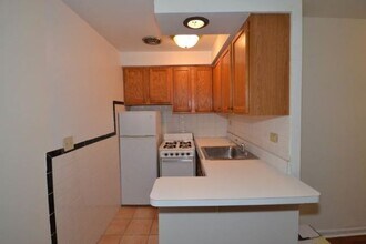 663 W Grace St in Chicago, IL - Building Photo - Building Photo