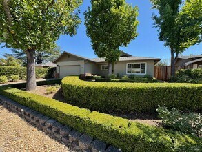 1971 Olive Ave in St Helena, CA - Building Photo - Building Photo