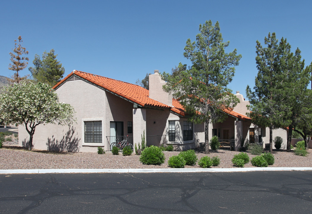 Tierra Catalina Apartments in Tucson, AZ - Building Photo