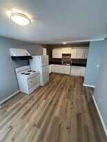 417 W Reynolds St in Springfield, IL - Building Photo