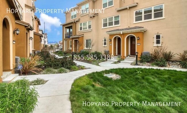 property at 215 Siderno Ct