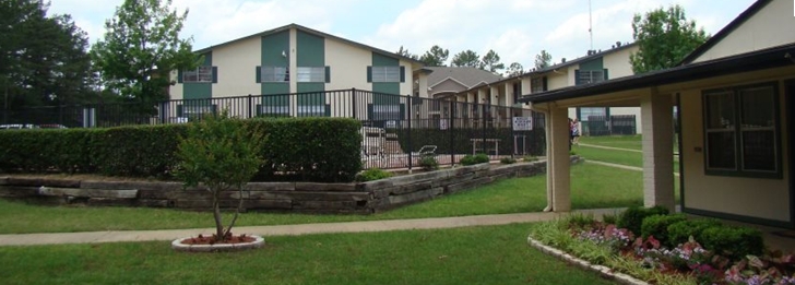 Oxford Pointe Apartments in Tyler, TX - Building Photo