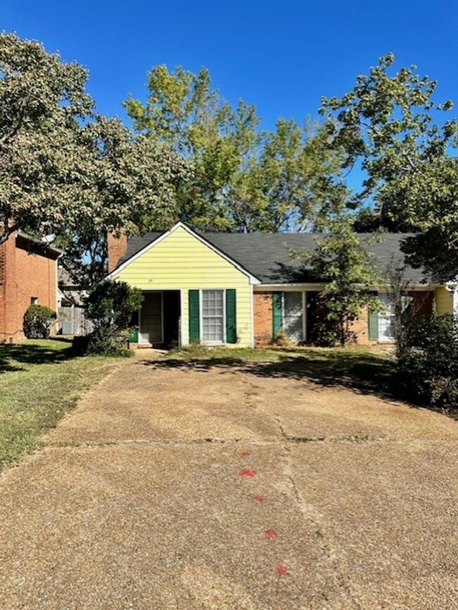 29 Meadowoods Pl in Jackson, MS - Building Photo - Building Photo