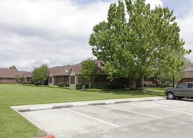 Village on the Park in Friendswood, TX - Building Photo - Building Photo