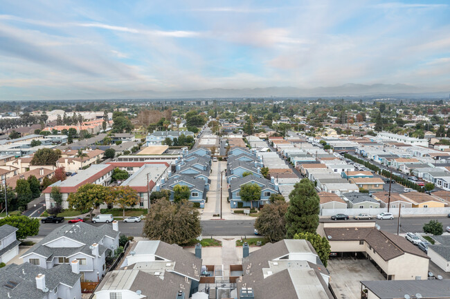 350 Avocado St in Costa Mesa, CA - Building Photo - Building Photo