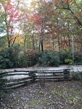 Fall Creek Cabins in Purlear, NC - Building Photo - Building Photo