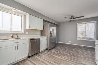 119 S Hale Ave in Bartlett, IL - Building Photo - Building Photo