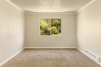 The Palms Apartments photo'