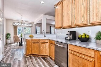 43783 Maison Blanc Square in Ashburn, VA - Building Photo - Building Photo