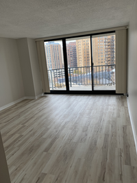 3660 N Lake Shore Dr, Unit 1006 in Chicago, IL - Building Photo - Building Photo