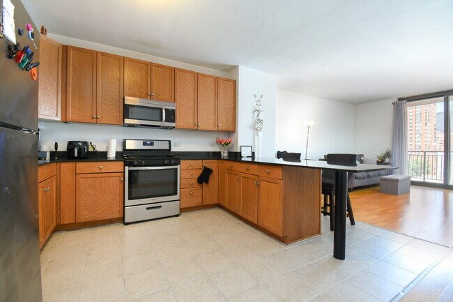 1101 S State St in Chicago, IL - Building Photo - Building Photo