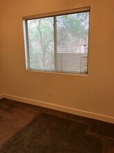 928 N Campbell Ave in Tucson, AZ - Building Photo - Building Photo