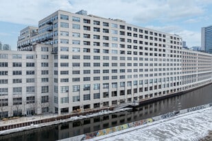 Domain Lofts in Chicago, IL - Building Photo