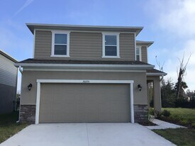 20224 Calla Lily Dr in Land O Lakes, FL - Building Photo