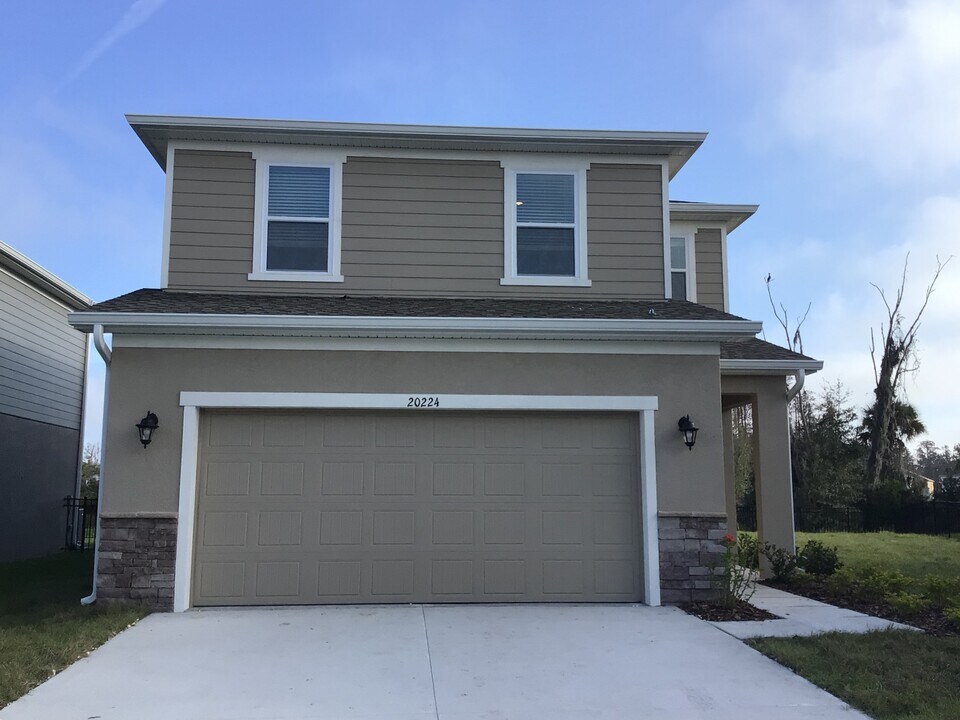 20224 Calla Lily Dr in Land O Lakes, FL - Building Photo