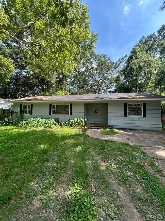 property at 515 Woodward Ave