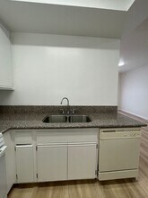 11459 Collins St in Los Angeles, CA - Building Photo - Building Photo