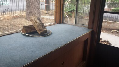 345 W Aeroplane Blvd in Big Bear, CA - Building Photo - Building Photo