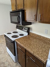 3313 Turnabout Loop in Schertz, TX - Building Photo - Building Photo