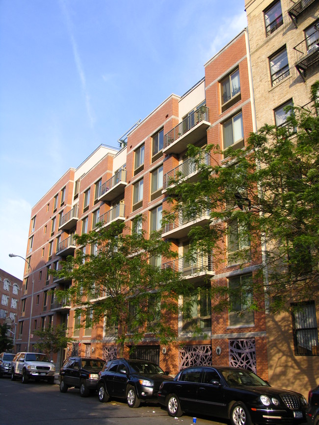 715 Fox St in Bronx, NY - Building Photo - Building Photo