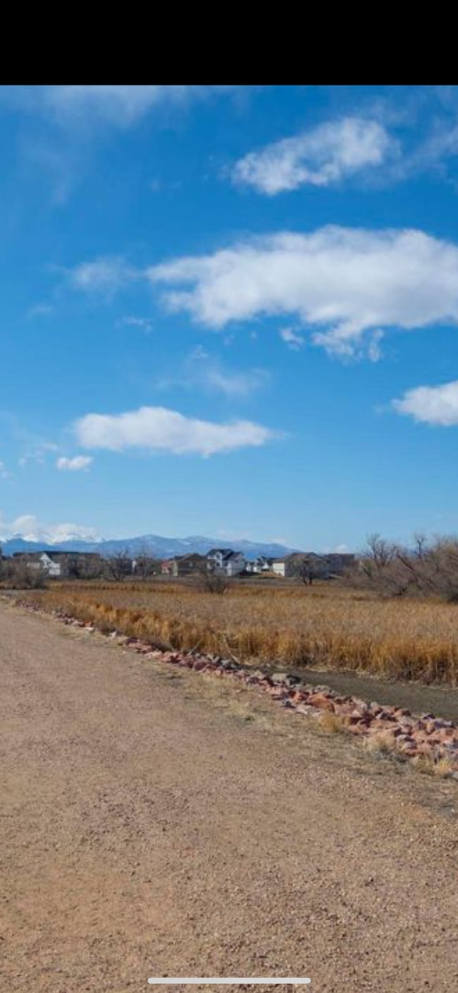 2027 Grays Peak Dr in Loveland, CO - Building Photo - Building Photo